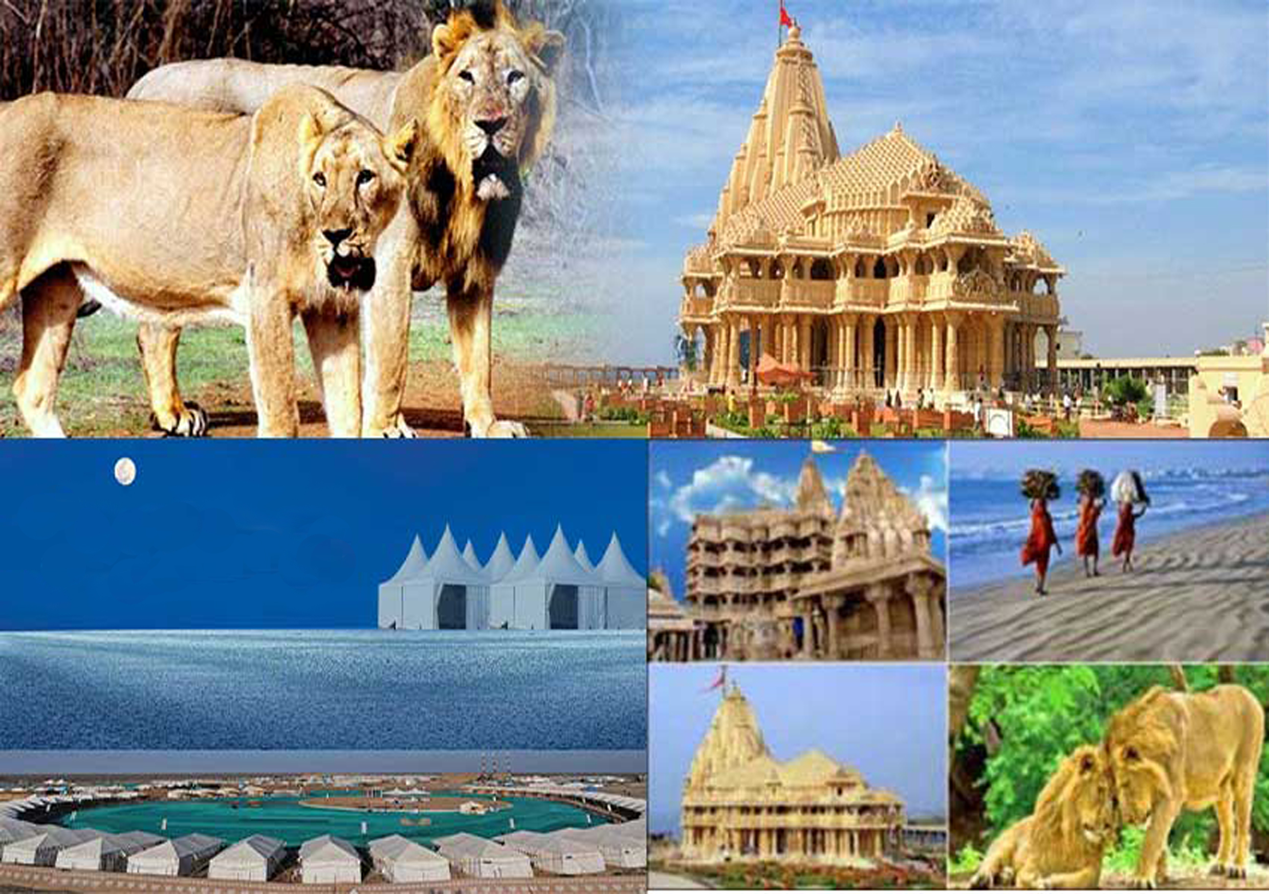 Rann Utsav with Statue of Unity Trip 